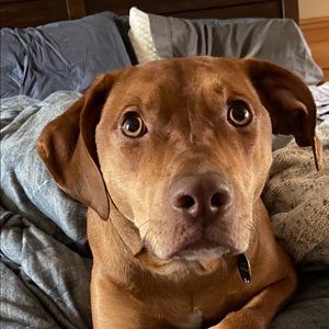 Meet your Posher, James